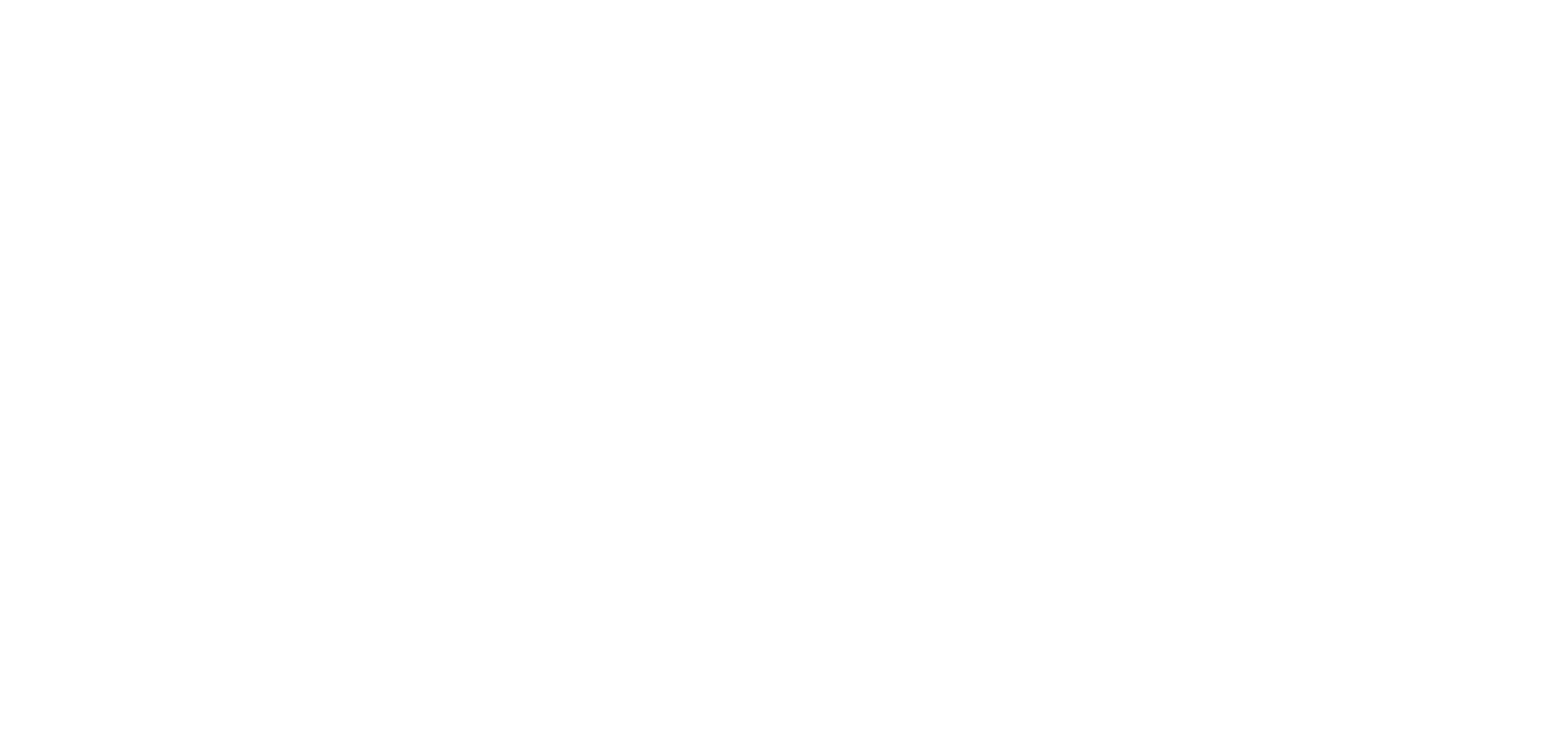 Solid construction services logo white